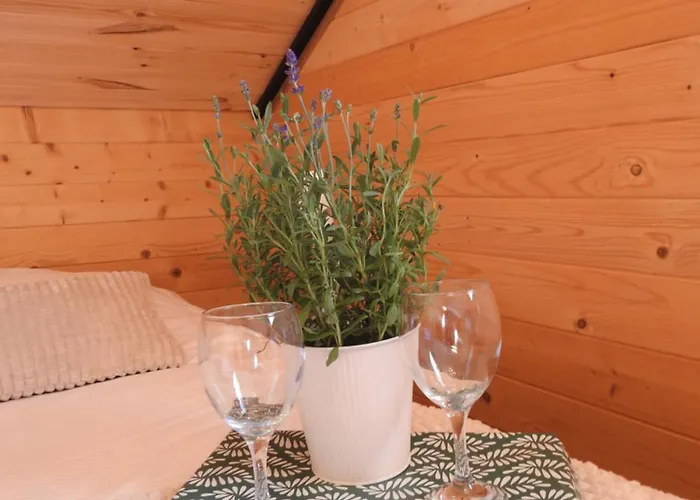 Vakantiehuis Widokowy Zakatek Debowina